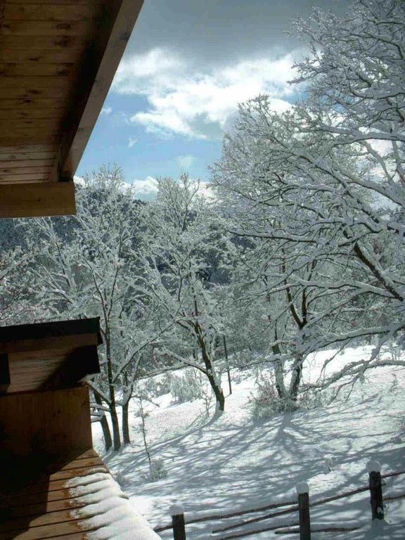Hotel Rural Las Rozuelas Cercedilla Værelse billede